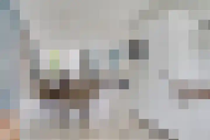 Eikenbussel 31 Oirschot thumbnail 15