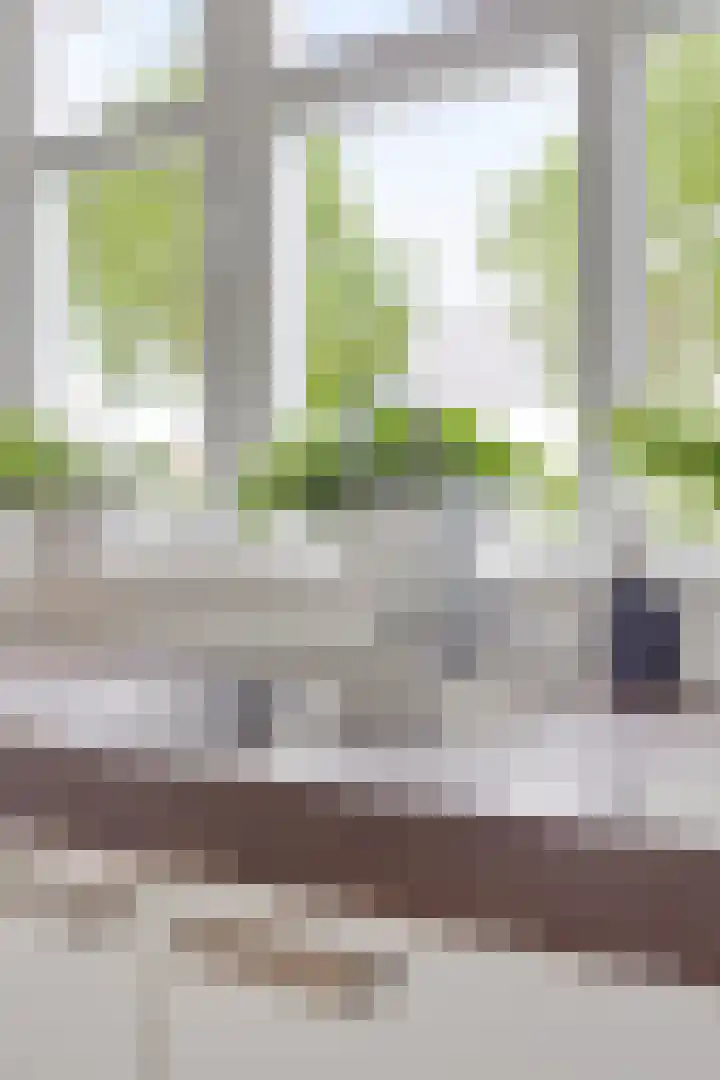 Eikenbussel 31 Oirschot thumbnail 18