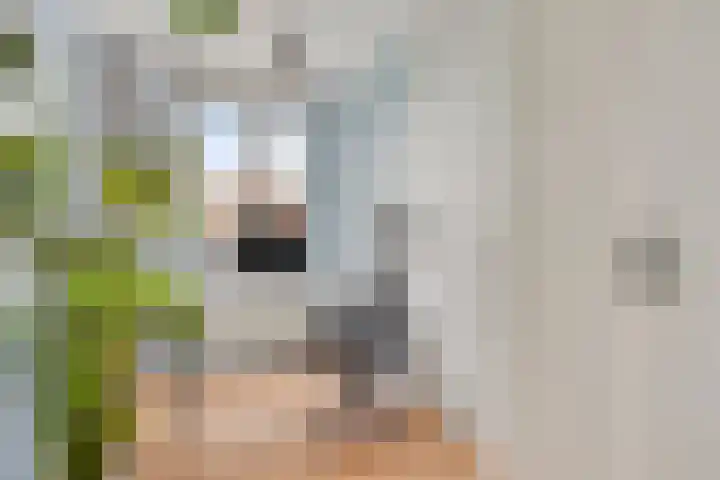 Eikenbussel 31 Oirschot thumbnail 21