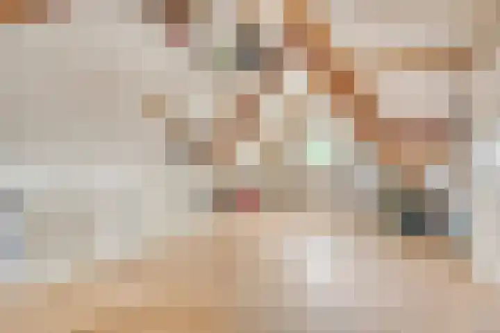 Eikenbussel 31 Oirschot thumbnail 30