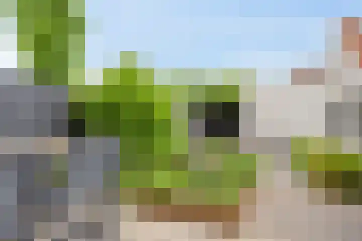Eikenbussel 31 Oirschot thumbnail 31