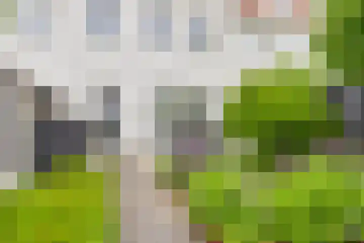 Eikenbussel 31 Oirschot thumbnail 32