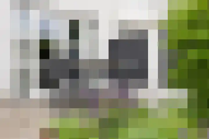 Eikenbussel 31 Oirschot thumbnail 34