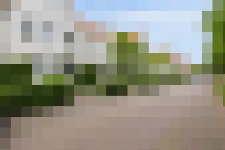 Eikenbussel 31 Oirschot thumbnail 37