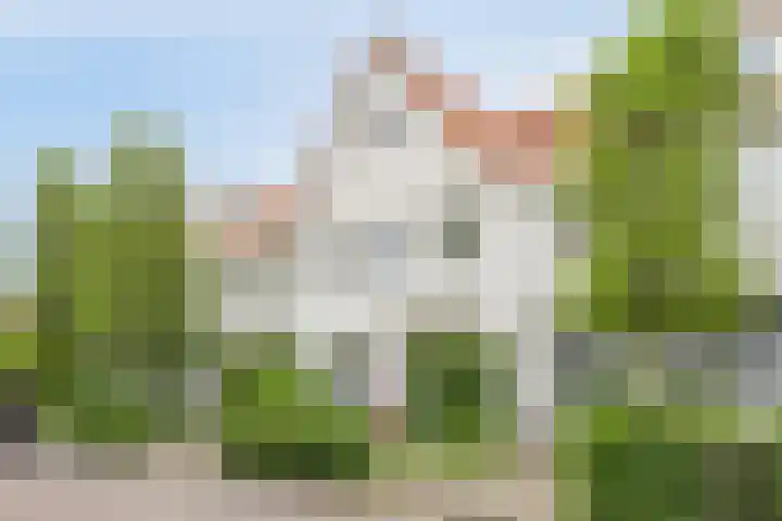 Eikenbussel 31 Oirschot thumbnail 38