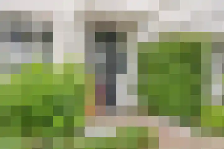 Eikenbussel 31 Oirschot thumbnail 6