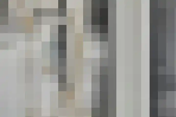 Eikenbussel 31 Oirschot thumbnail 7