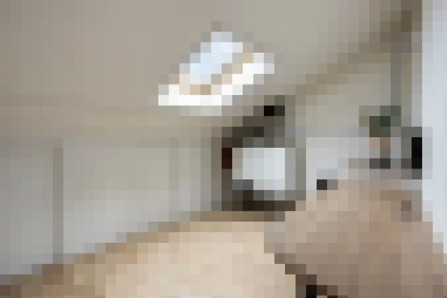 Eikenbussel 57 Oirschot thumbnail 37