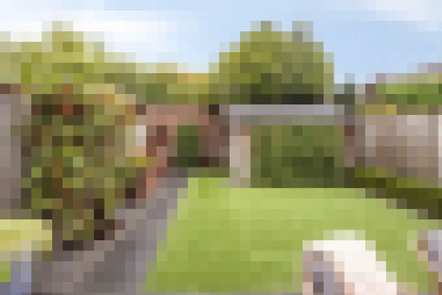 Eikenbussel 57 Oirschot thumbnail 38