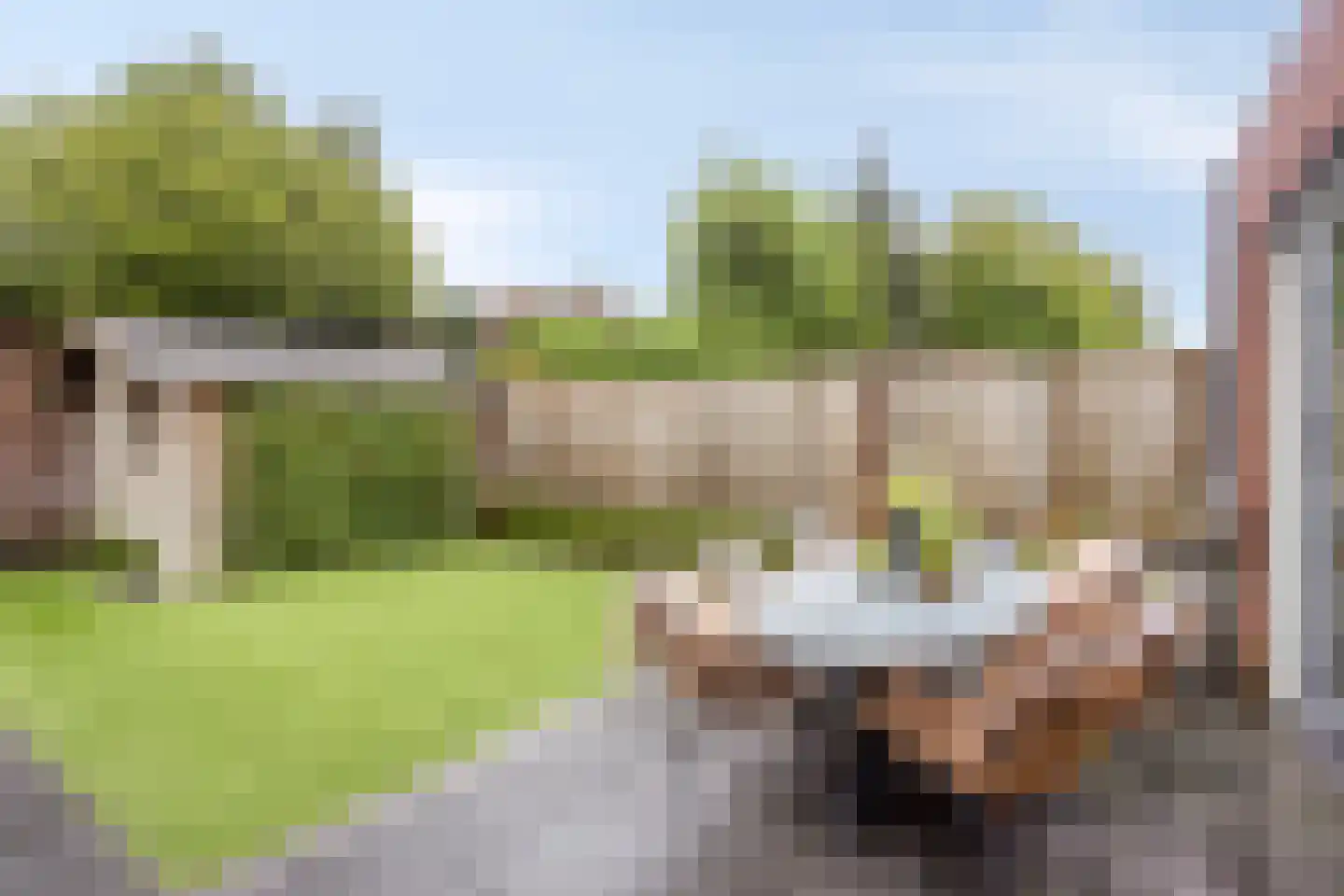Eikenbussel 57 Oirschot thumbnail 39