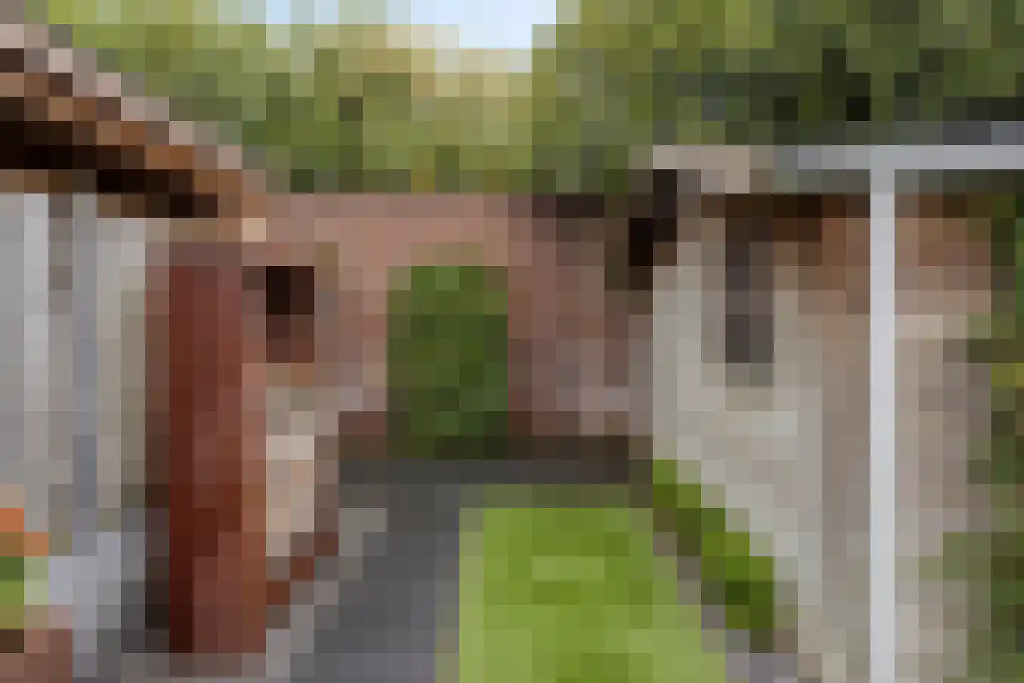 Eikenbussel 57 Oirschot thumbnail 44