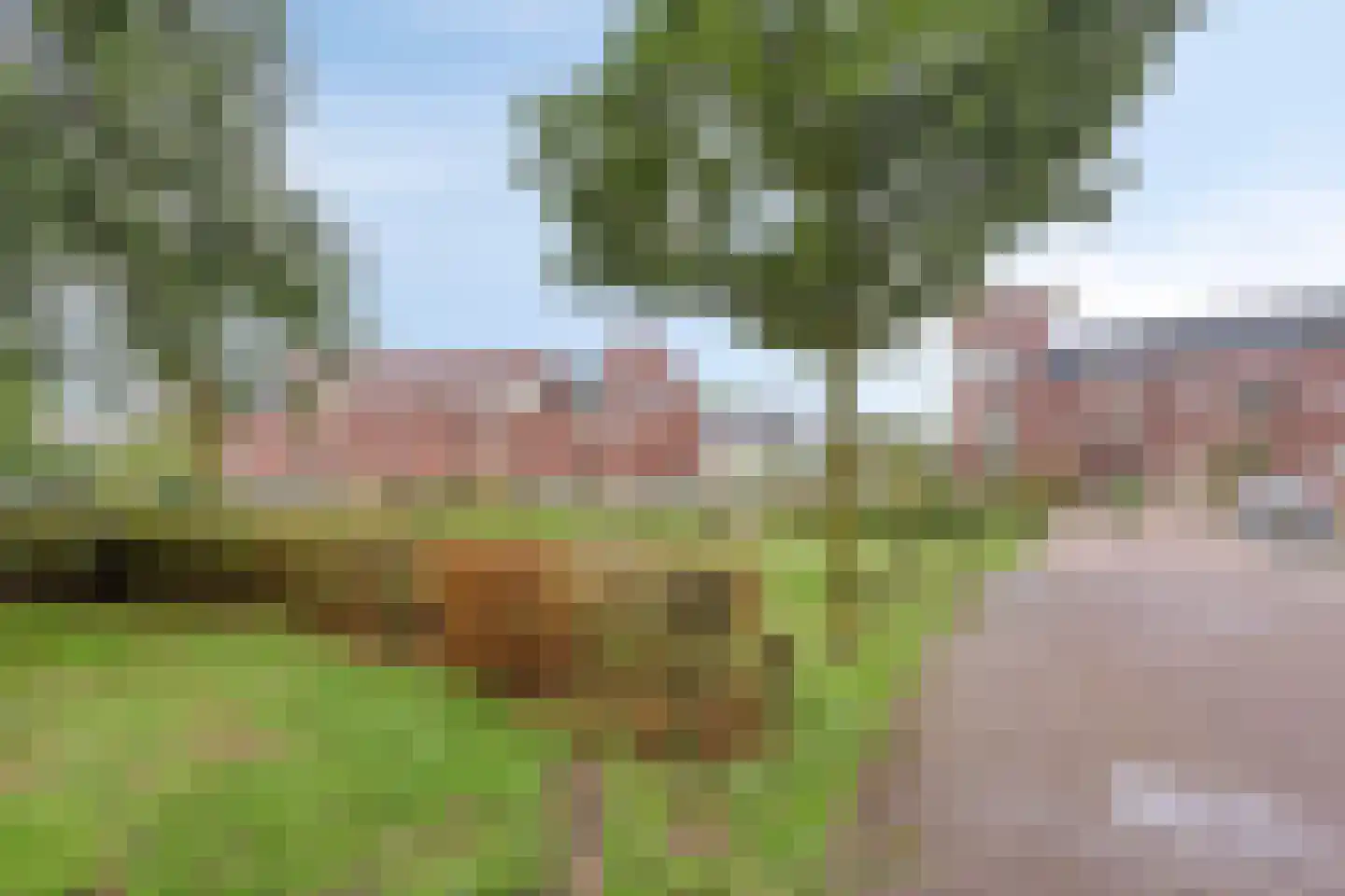 Eikenbussel 57 Oirschot thumbnail 48