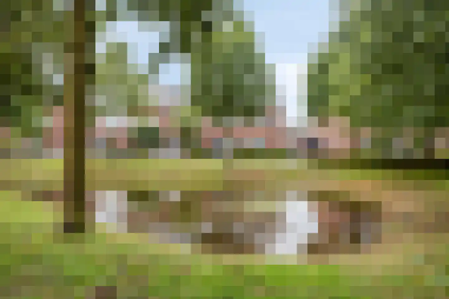 Eikenbussel 57 Oirschot thumbnail 51