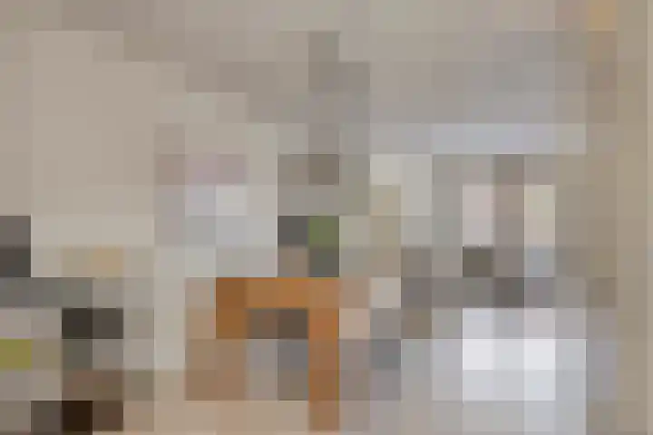 Eikenbussel 75 Oirschot thumbnail 16