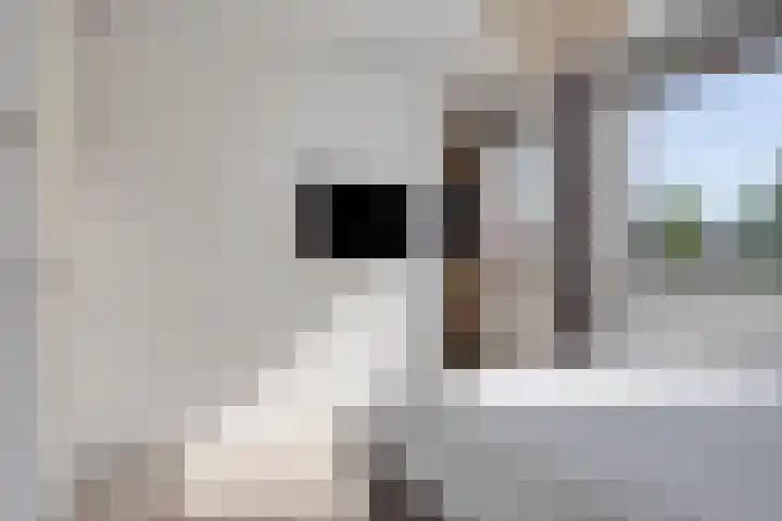 Eikenbussel 75 Oirschot thumbnail 24