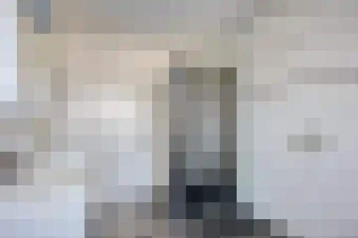Eikenbussel 75 Oirschot thumbnail 30