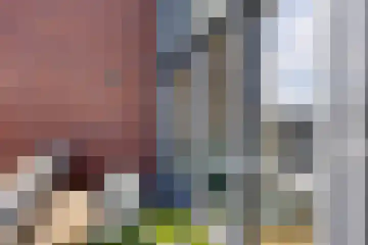 Eikenbussel 75 Oirschot thumbnail 35