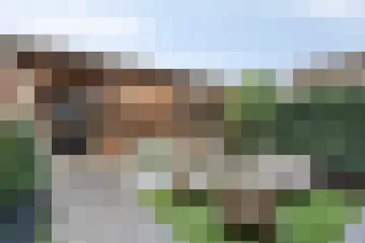 Eikenbussel 75 Oirschot thumbnail 36