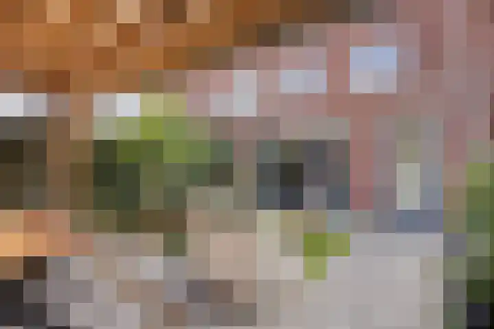 Eikenbussel 75 Oirschot thumbnail 37