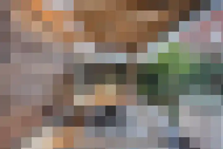 Eikenbussel 75 Oirschot thumbnail 38