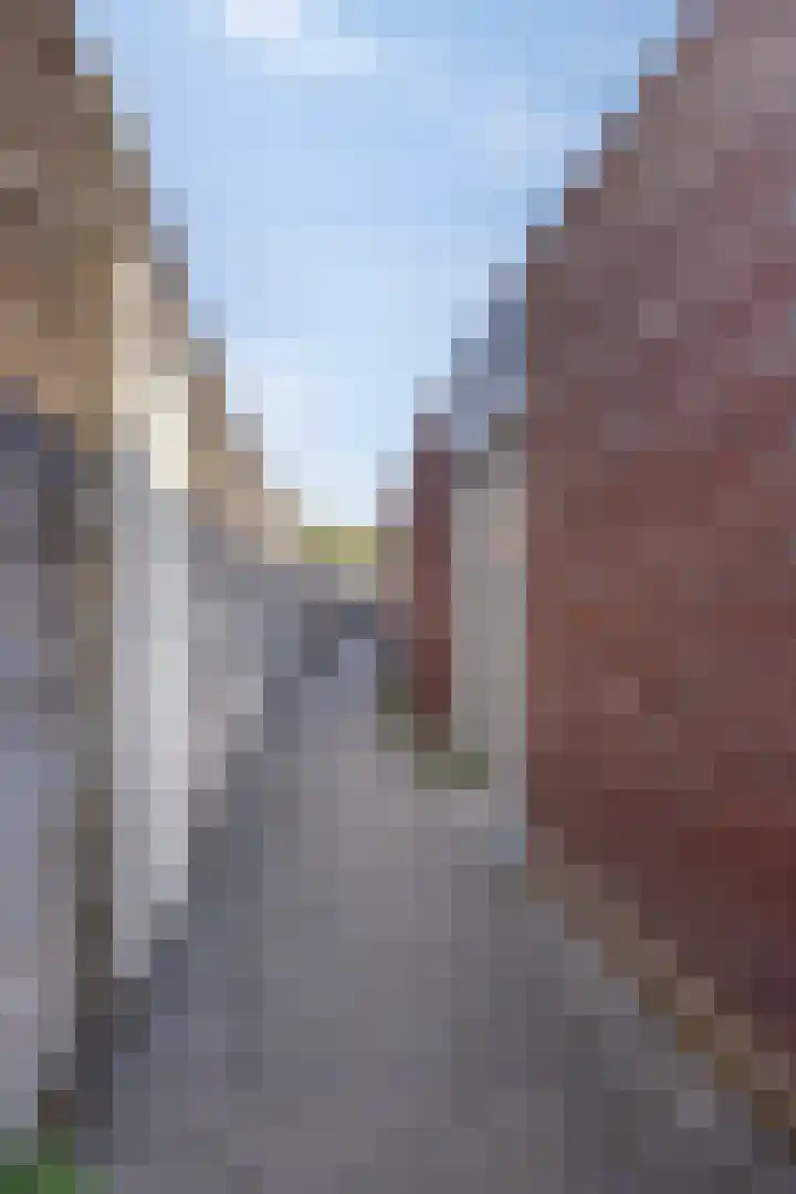 Eikenbussel 75 Oirschot thumbnail 39
