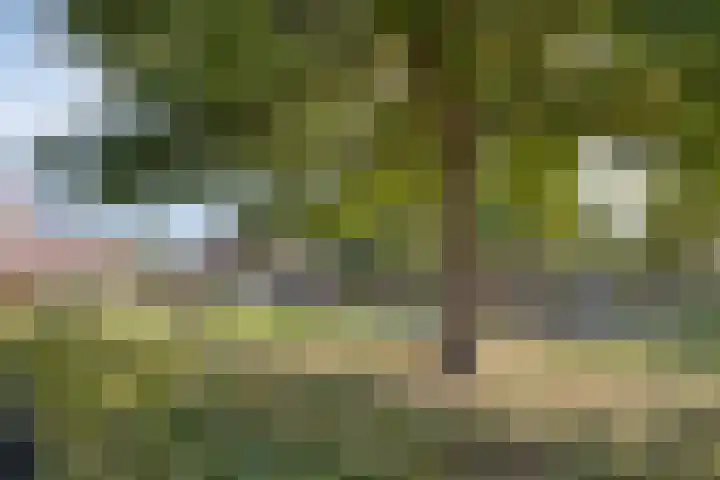 Eikenbussel 75 Oirschot thumbnail 43