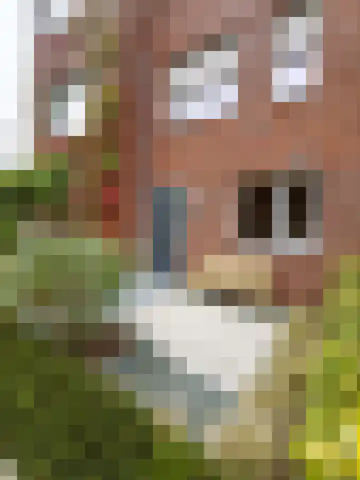 Eikenbussel 75 Oirschot thumbnail 7