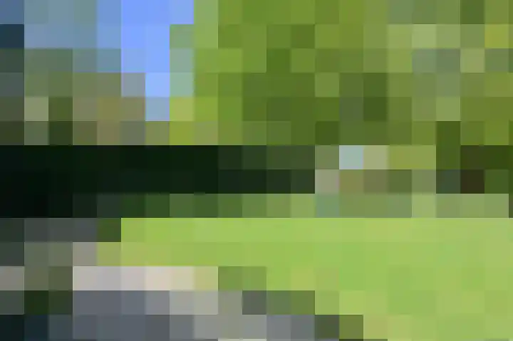 Eikendael 1 Wassenaar thumbnail 21
