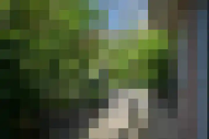 Eikendael 1 Wassenaar thumbnail 23