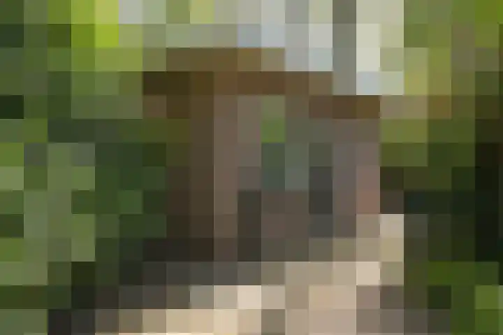 Eikendael 1 Wassenaar thumbnail 24