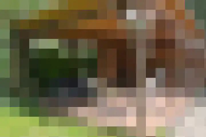 Eikendael 1 Wassenaar thumbnail 50