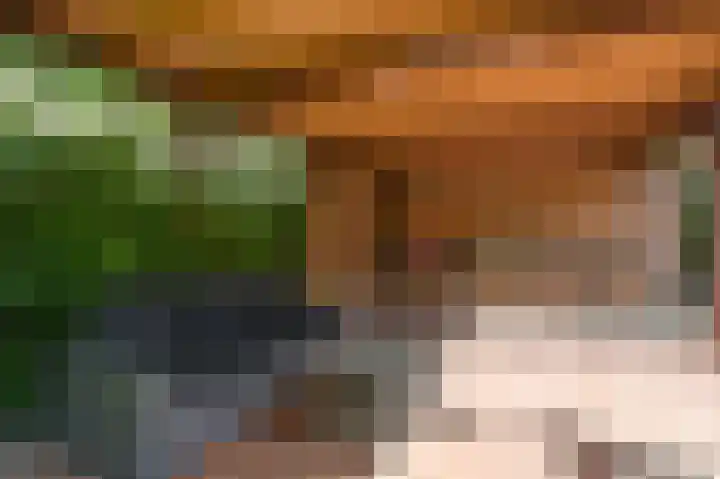Eikendael 1 Wassenaar thumbnail 51