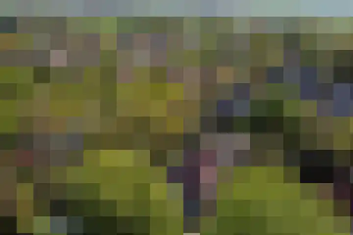 Eikendael 1 Wassenaar thumbnail 53