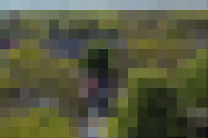 Eikendael 1 Wassenaar thumbnail 54