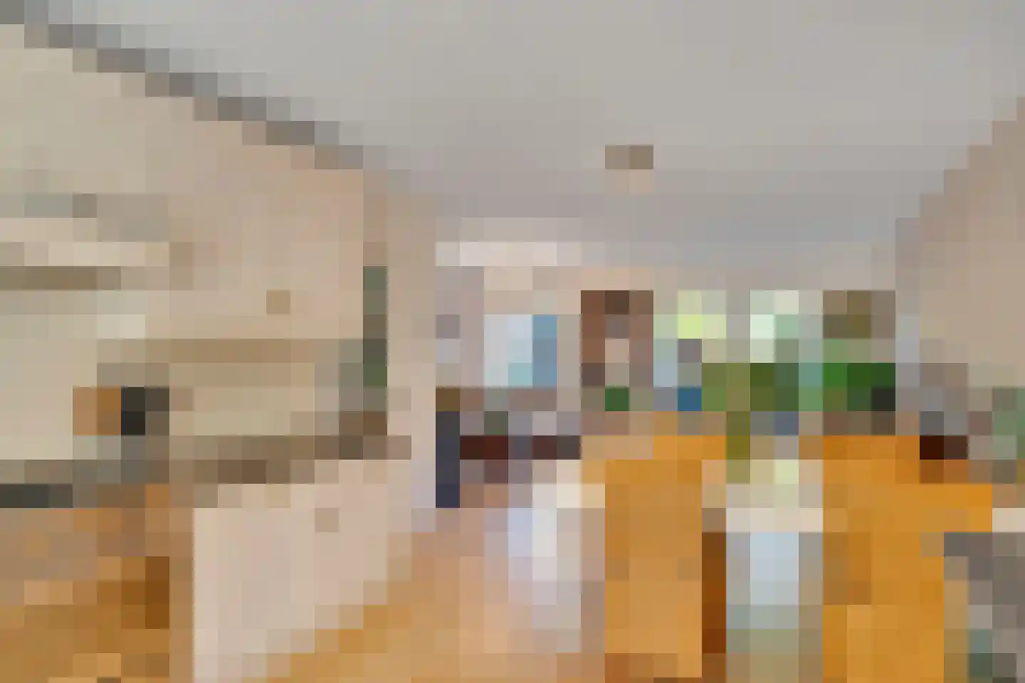 Eikendael 14 Wassenaar thumbnail 18