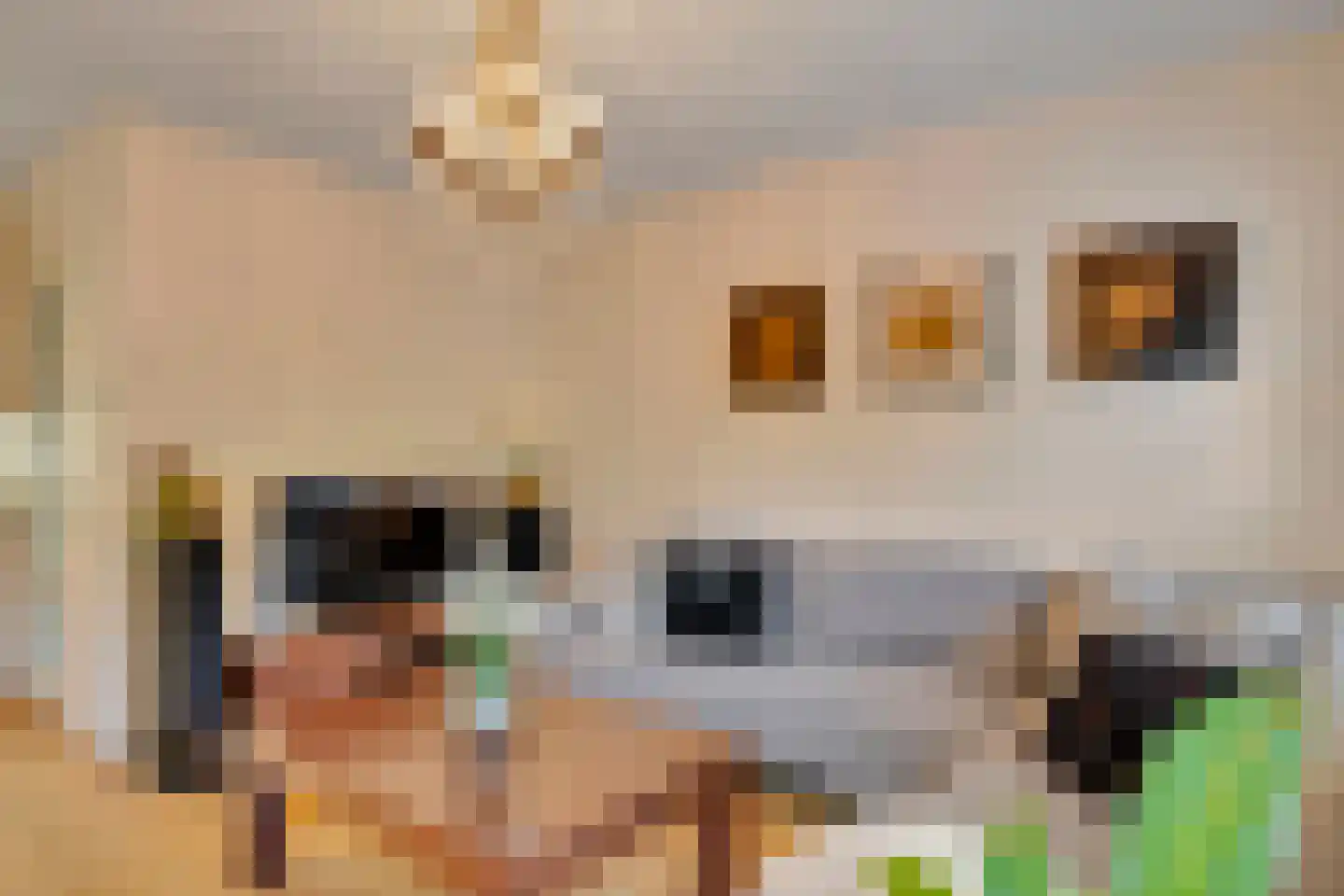 Eikendael 14 Wassenaar thumbnail 20