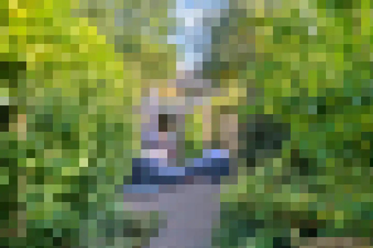 Eikendael 14 Wassenaar thumbnail 26