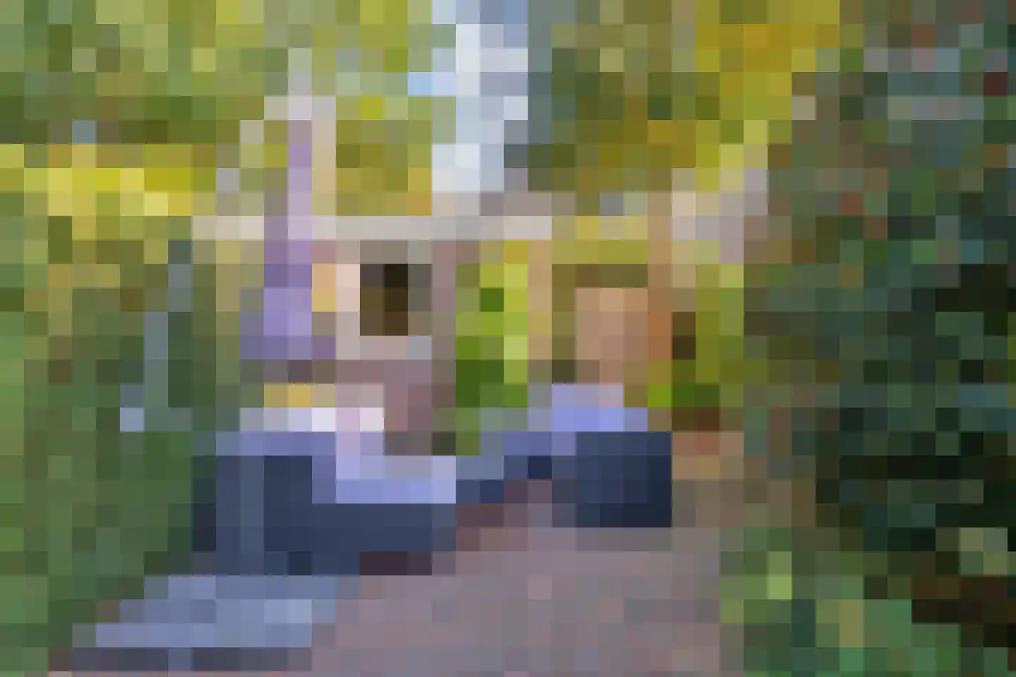 Eikendael 14 Wassenaar thumbnail 28