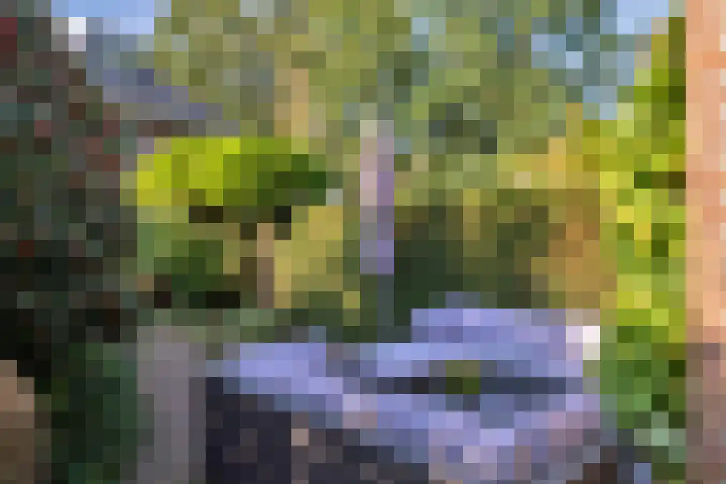 Eikendael 14 Wassenaar thumbnail 30