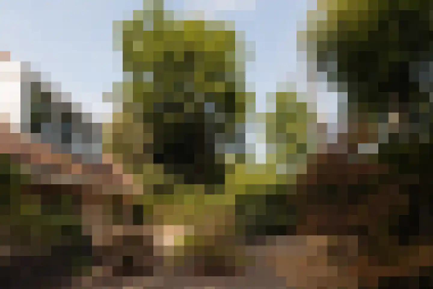 Eikendael 32 Wassenaar thumbnail 19