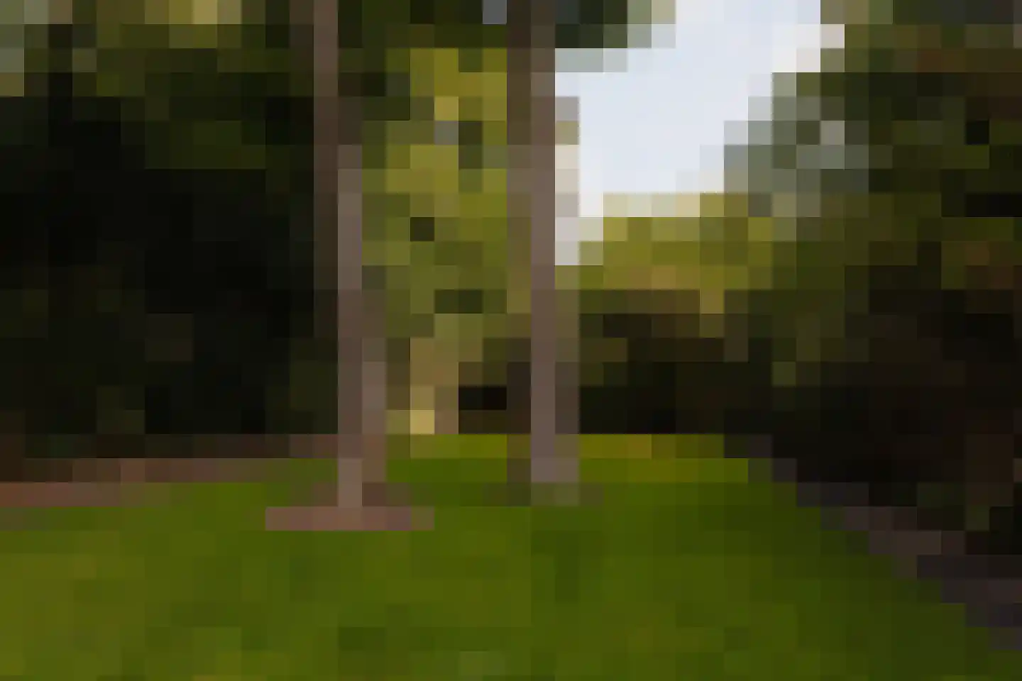 Eikendael 32 Wassenaar thumbnail 20