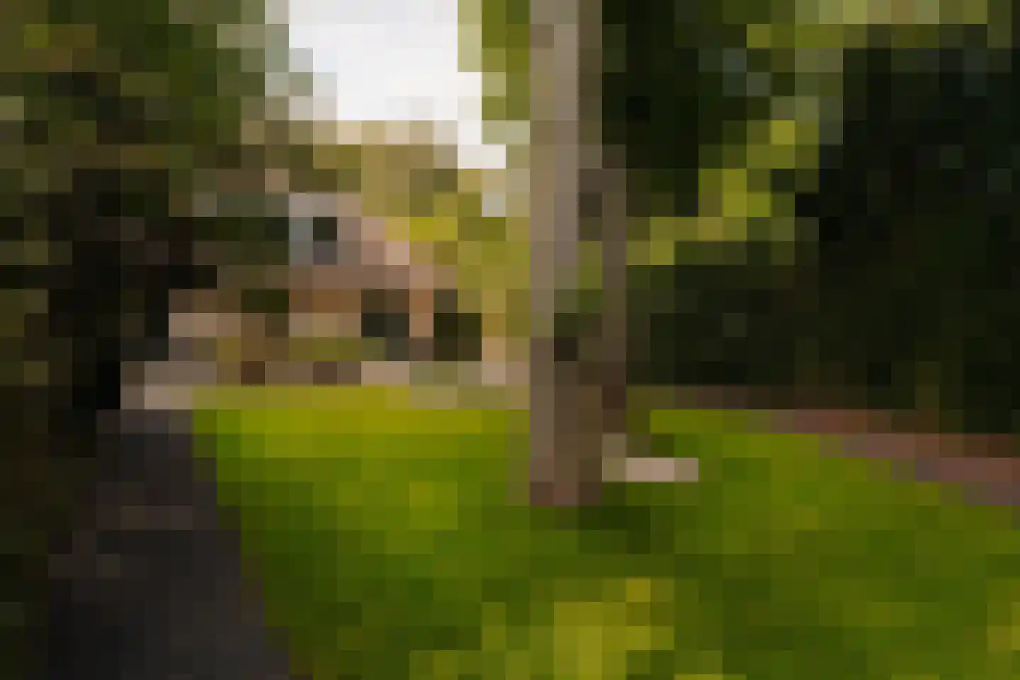 Eikendael 32 Wassenaar thumbnail 21
