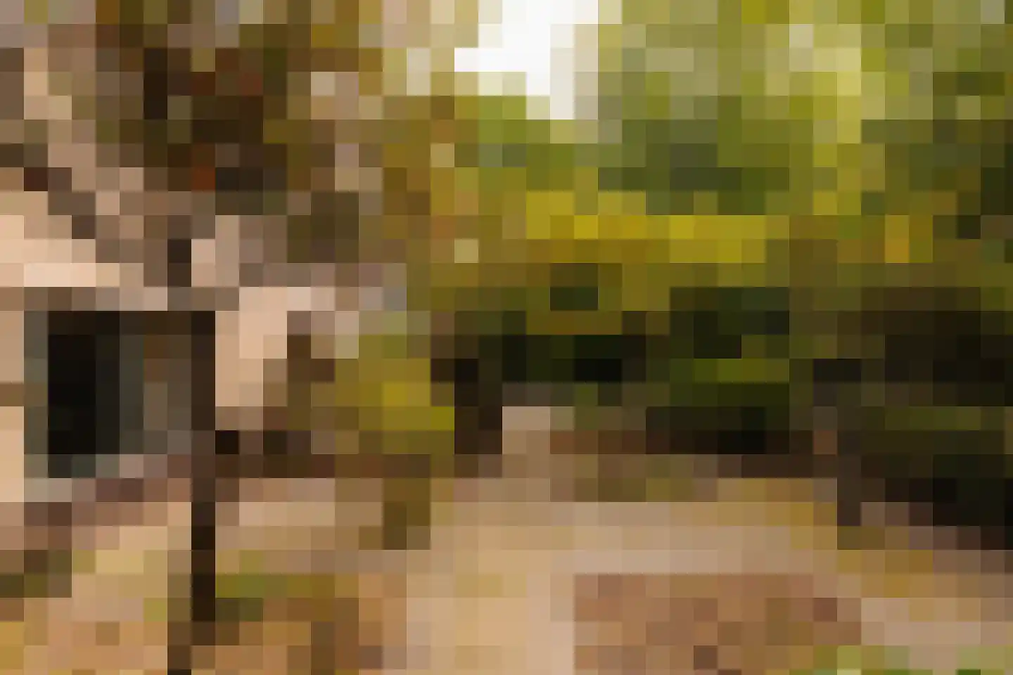 Eikendael 32 Wassenaar thumbnail 22