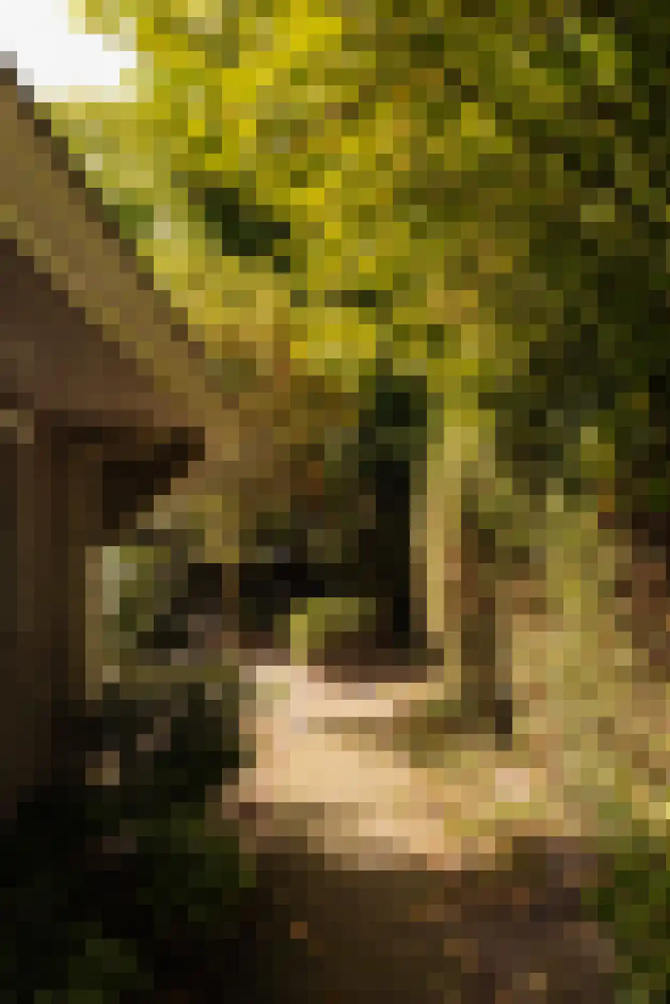 Eikendael 32 Wassenaar thumbnail 23