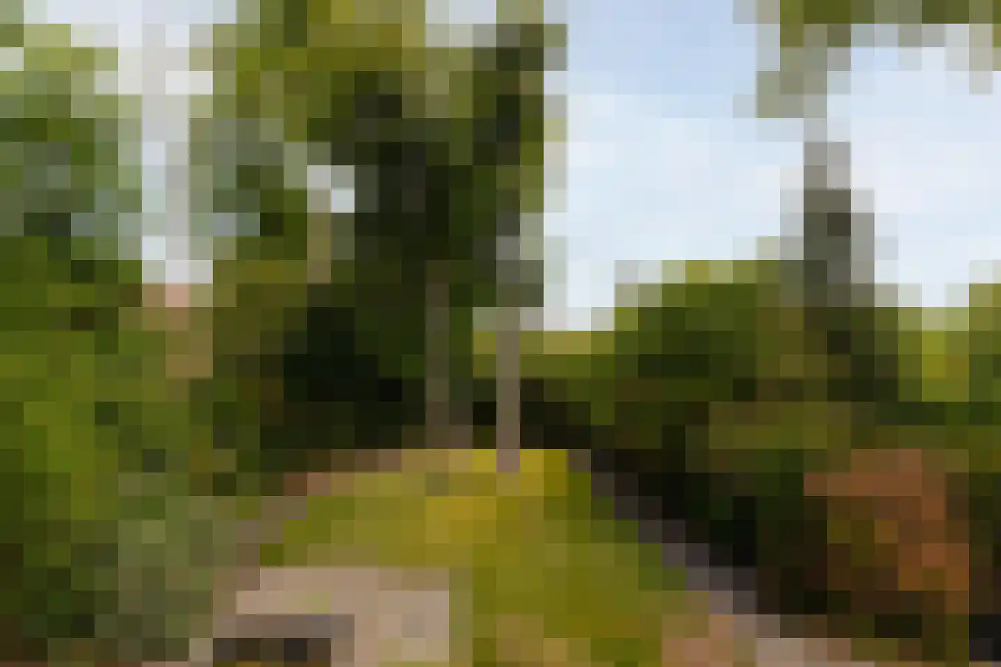 Eikendael 32 Wassenaar thumbnail 36