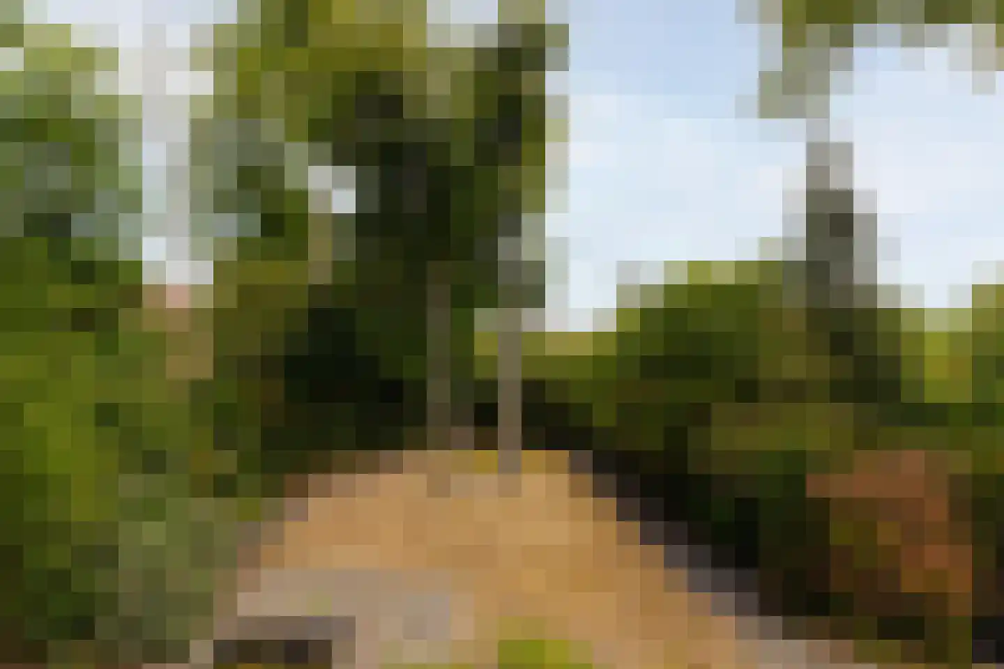 Eikendael 32 Wassenaar thumbnail 36