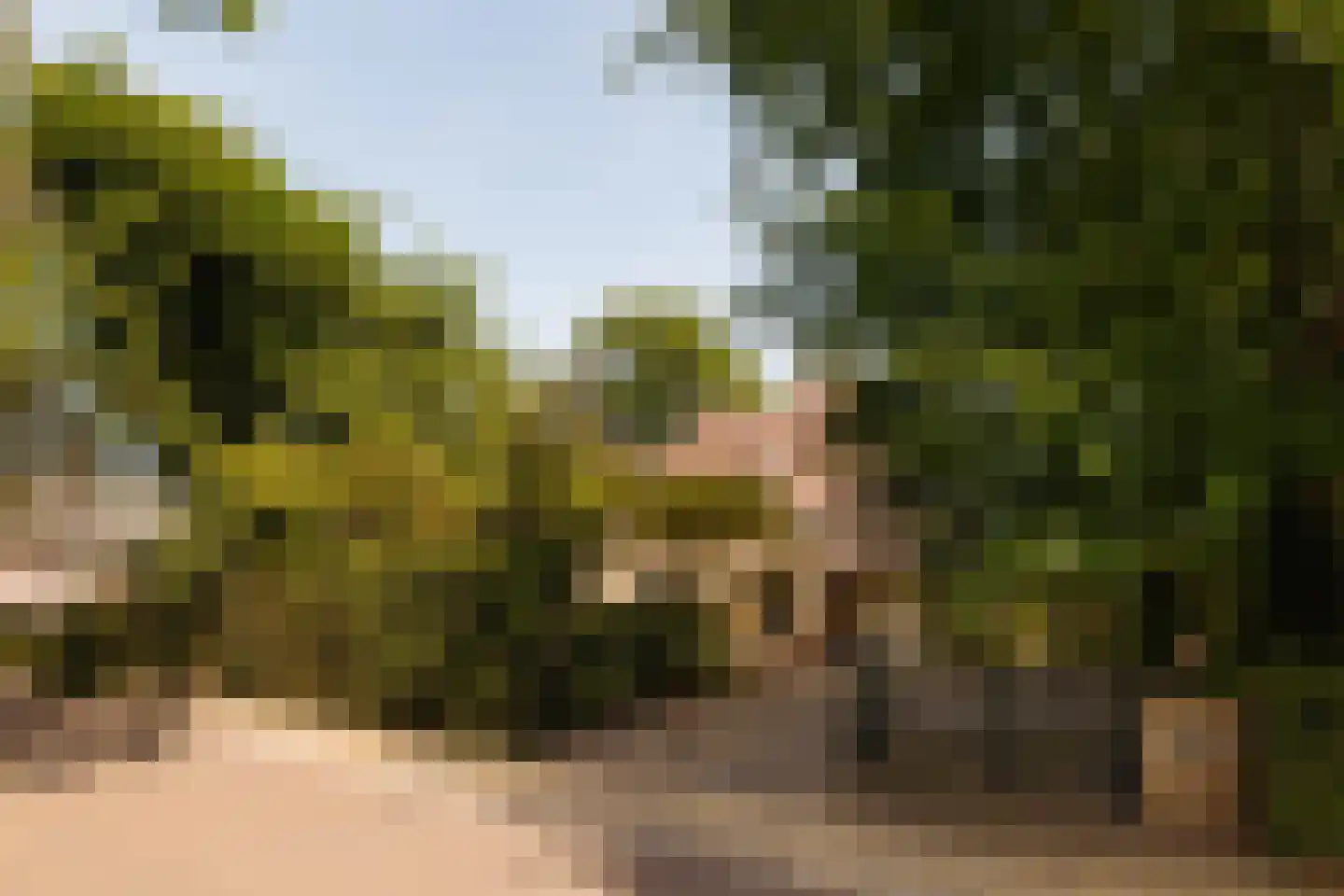 Eikendael 32 Wassenaar thumbnail 4