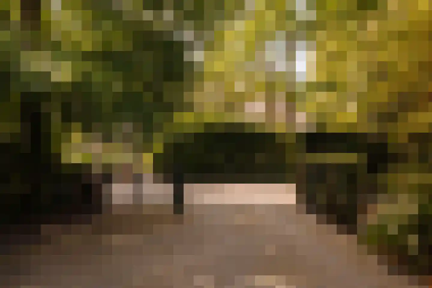 Eikendael 32 Wassenaar thumbnail 47