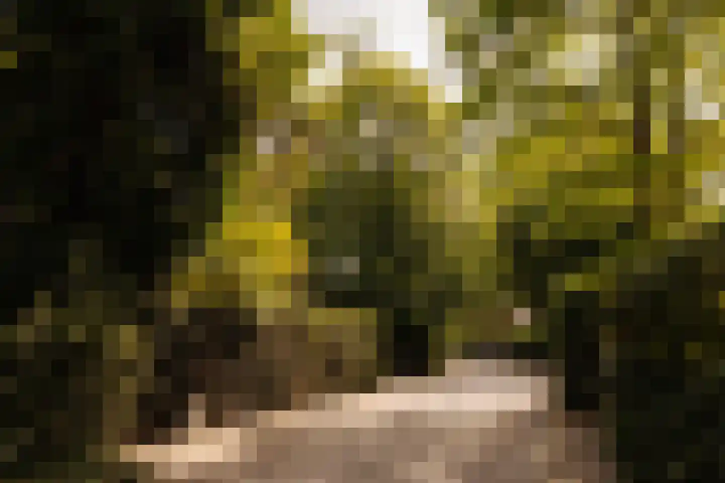 Eikendael 32 Wassenaar thumbnail 48