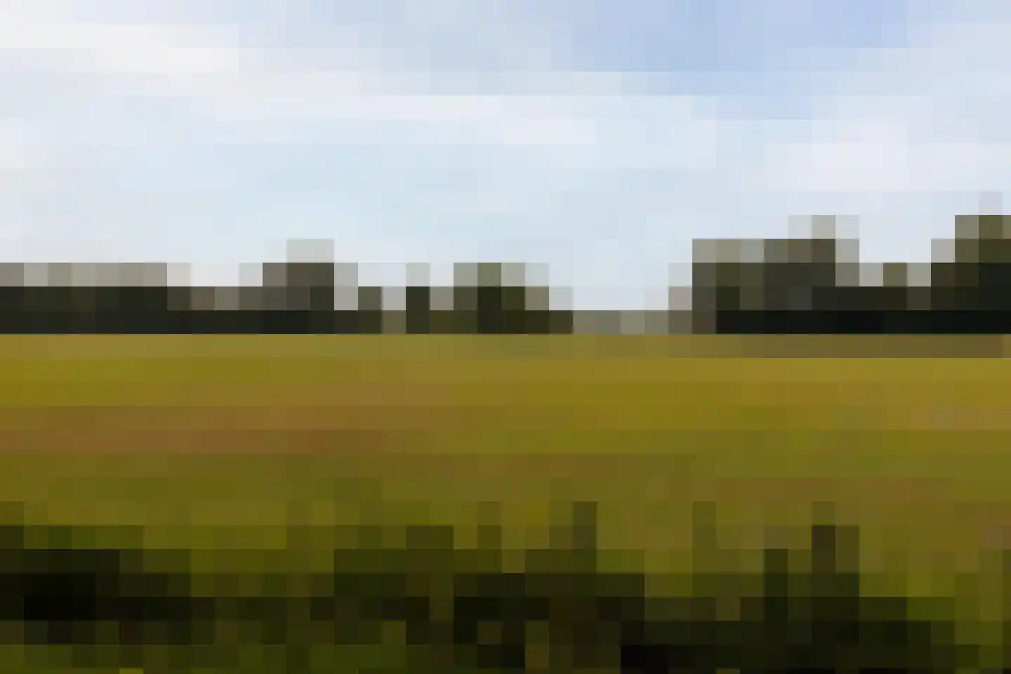Eikendael 32 Wassenaar thumbnail 50